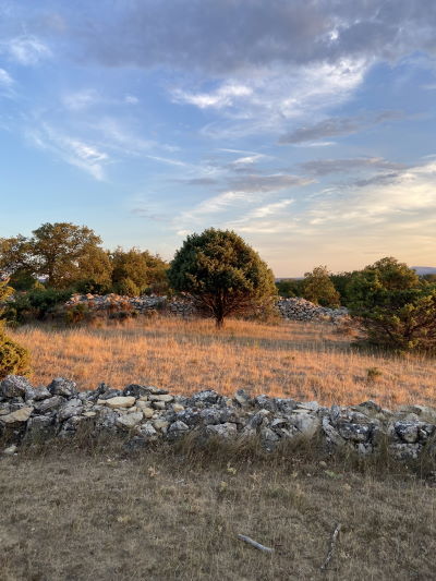 Paysage la Jarrigue